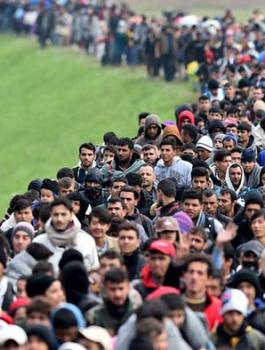 اللاجئيين في العالم 