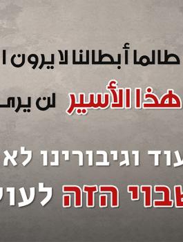 شاؤول ارون 