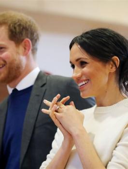 ميغان وهاري 