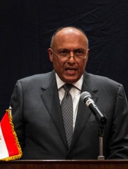 مصر والسعودية 