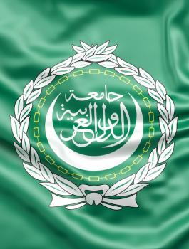 جامعة الدول العربية 