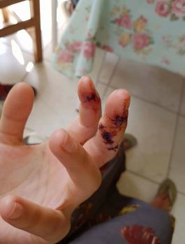 لائحة اتهام اسرائيلية ضد عامل اردني 