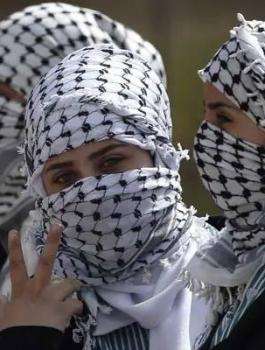 اعداد الفلسطينيين الاحصاء المركزي 