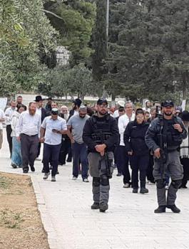 المستوطنون في الاقصى  