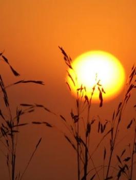 حالة الطقس في فلسطين 