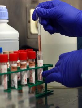 2020.04.01.09.01.04-WhatsApp Image 2020-04-01 at 08.56.11