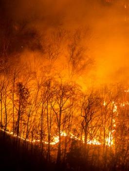 حرائق في جورجيا 