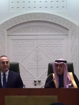 السعودية 