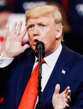 ترامب والانتخابات الامريكية 