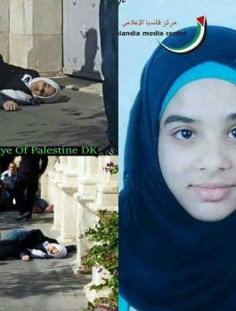 12243570_1242684619107289_6622423280465556645_n (1)