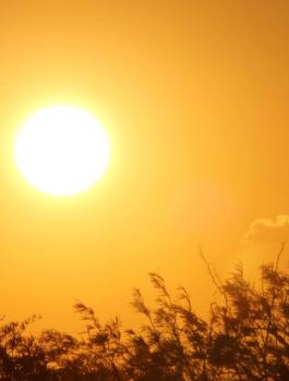 حالة الطقس في فلسطين 