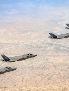 الجيش الاسرائيلي والولايات المتحدة 