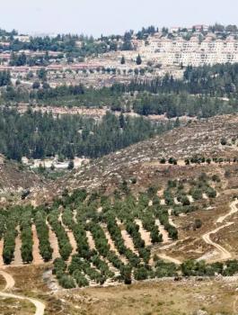 ضم الضفة الغربية الى اسرائيل 