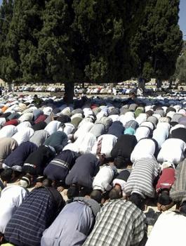 فوائد الصلاة 