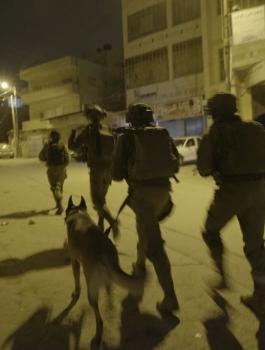 اعتقالات في الضفة 