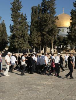 14706752_1092801564167274_5517180580827934339_o