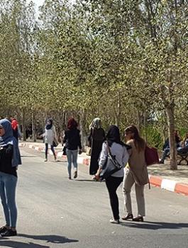 الملكية الفكرية في الجامعات الفلسطينية 