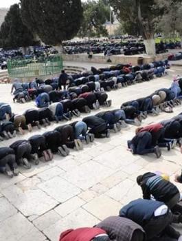 86488769_3687333698007710_4047257638478544896_n