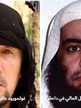 مقتل قياديين من داعش في غارة على دير الزور 