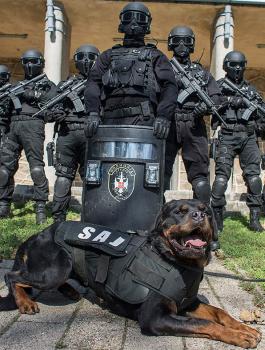 police-forces