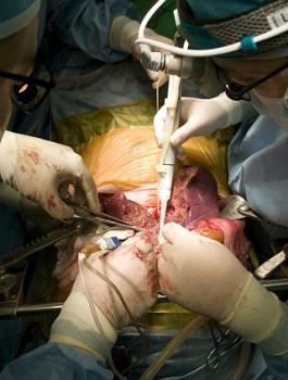 خلية تتاجر بالبشر في مصر 