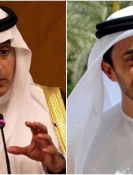 السعودية والامارات وباكستان والهند 
