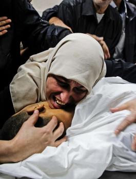 اعداد الشهداء في غزة 