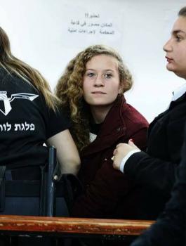 عهد التميمي 