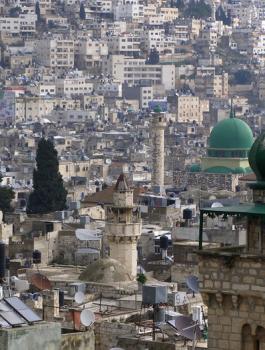 زلزال في فلسطين 