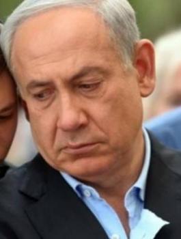 she5z-jpeg-53281635163904060