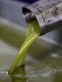 الحكومة الفلسطينية تمنع استيراد زيت الزيتون 