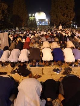 الاعتكاف في الاقصى 