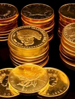 سرقة في الجزائر 