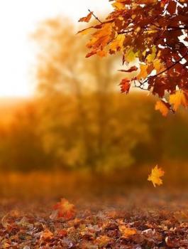 1024x576_main_image5d91a2b85a958