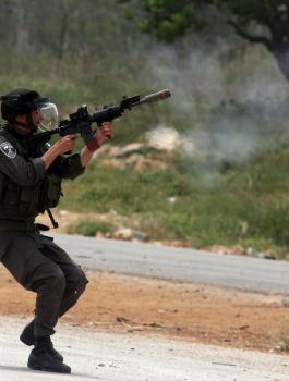 معاذ عمارنة 