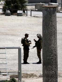 تجريف سبسطية 