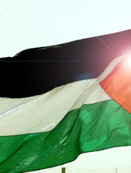 ماذا يعني انضمام فلسطين للإنتربول؟