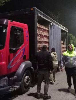 الضابطة الجمركية