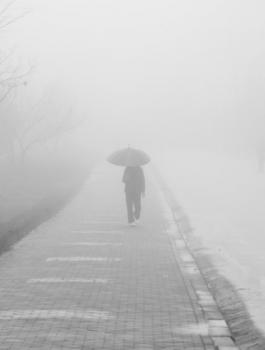 rain-and-fog