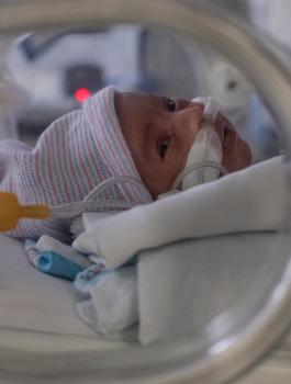 وفاة طفل بفيروس كورونا في قلقيلية 