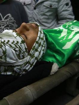 محمد ابو خليفة 