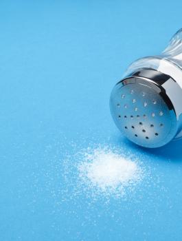 o-SALT-SHAKER-facebook