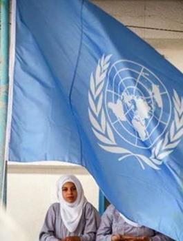 رواتب اونروا 