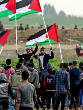 2343dd9e4b417a62b0cf3dfeee3fd6f4