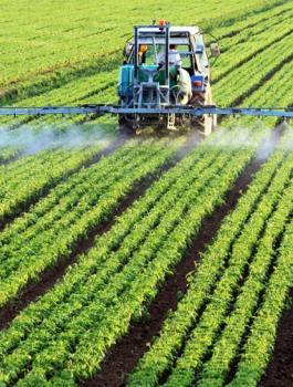 فلسطين وموريتانيا والزراعة 