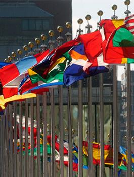 الامم المتحدة وقرارات لفلسطين 