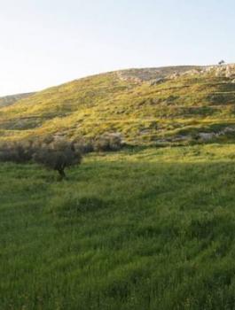 حالة الطقس