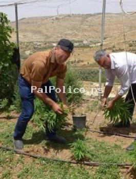 palpolice_04107071625356833077702356180002