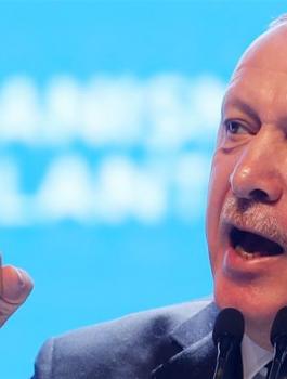 اردوغان وتركيا 