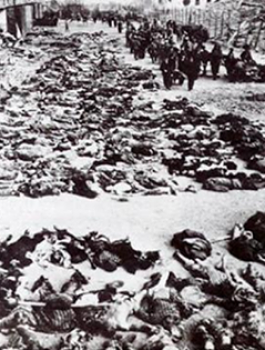 12928241_1049562075117821_7784461675003539450_n